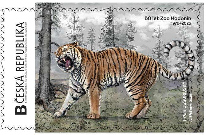 Zoo Hodonín tygr Tiger