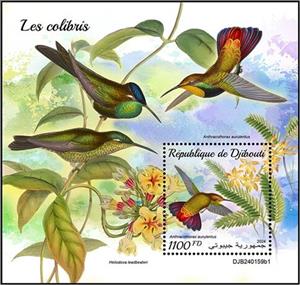 Souvenir Sheet, Anthracothorax aurulentus, Djibouti,  , Birds, Hummingbirds