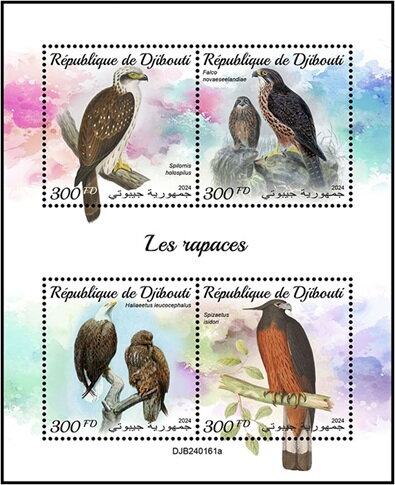 Birds of Prey