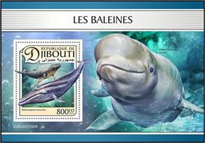 Souvenir Sheet, Blue Whale (Balaenoptera musculus), Djibouti,  , Sea Life, Whales