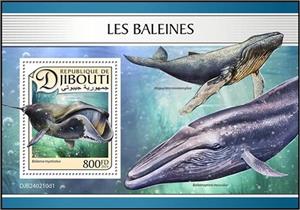Souvenir Sheet, Bowhead Whale (Balaena mysticetus), Djibouti,  , Sea Life, Whales