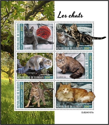 Domestic Cats