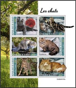 Mini Sheet, Domestic Cats, Djibouti,  , Animals (Fauna), Cats