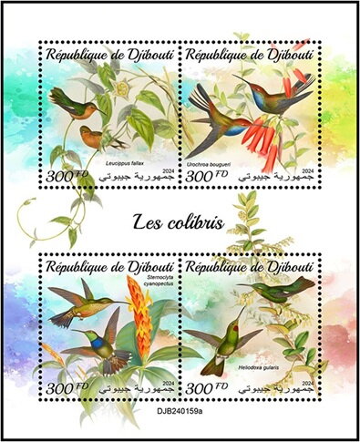 Hummingbirds
