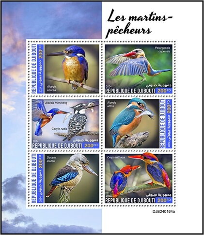 Kingfishers