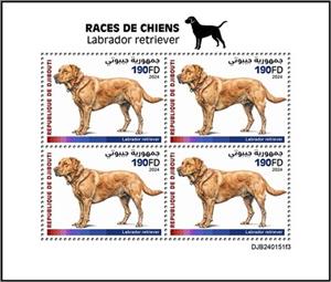 Full Pane, Labrador Retriever, Djibouti,  , Animals (Fauna), Dogs