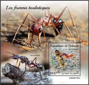 Souvenir Sheet, Myrmecia gulosa, Djibouti,  , Insects