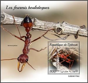 Souvenir Sheet, Myrmecia gulosa, Djibouti,  , Insects
