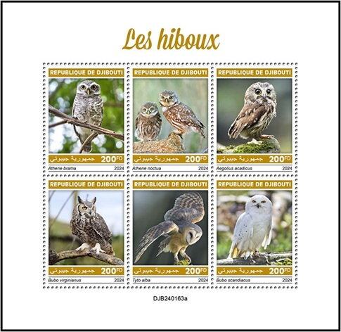Owls