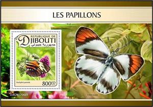 Souvenir Sheet, Pamela (Perrhybris pamela), Djibouti,  , Animals (Fauna), Butterflies and Moths, Insects