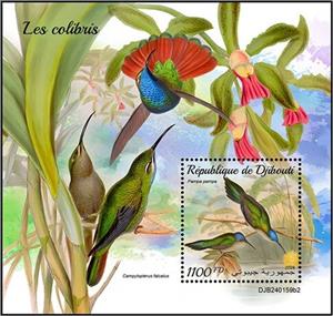 Souvenir Sheet, Pampa pampa, Djibouti,  , Birds, Hummingbirds