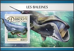 Souvenir Sheet, Sperm Whale (Physeter macrocephalus), Djibouti,  , Sea Life, Whales