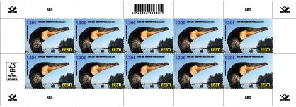 Full Pane, Cormorant (Phalacrocorax carbo), Estonia,  , Animals (Fauna), Birds