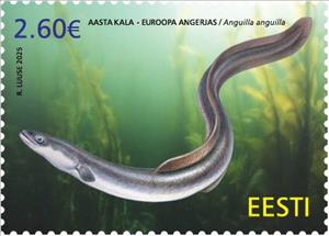 Stamp, European Eel (Anguilla anguilla), Estonia,  , Animals (Fauna), Fishes