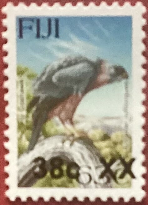 Fiji Goshawk (Accipiter rufitorques) surcharged