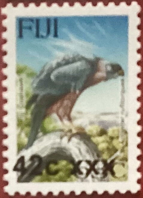 Fiji Goshawk (Accipiter rufitorques) surcharged