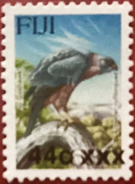 Fiji Goshawk (Accipiter rufitorques) surcharged