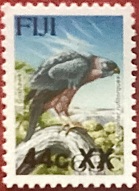 Fiji Goshawk (Accipiter rufitorques) surcharged