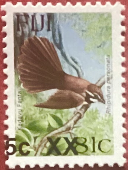 Kadavu Fantail (Rhipidura personata) Surcharged