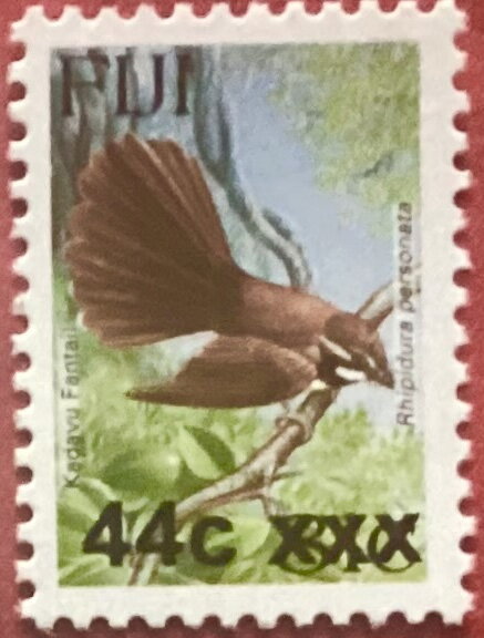 Kadavu Fantail (Rhipidura personata) Surcharged