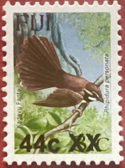 Kadavu Fantail (Rhipidura personata) Surcharged