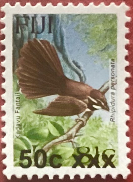 Kadavu Fantail (Rhipidura personata) Surcharged