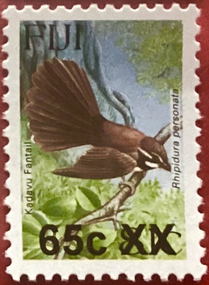 Kadavu Fantail (Rhipidura personata) Surcharged