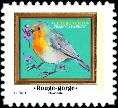 European Robin (Erithacus rubecula)