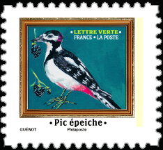 Stamp, Great Spotted Woodpecker (Dendrocopos major), France,  , Birds