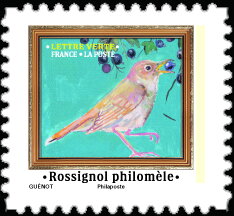 Nightingale (Luscinia megarhynchos)