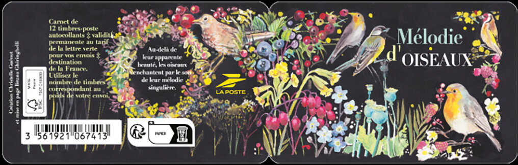 Songbirds : A Melody of Birds