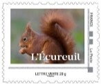 Red Squirrel (Sciurus vulgaris) 2