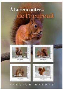 Mini Sheet, Squirrel, France,  , Animals (Fauna), Mammals, Squirrels