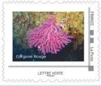 Stamp, Violescent Sea-whip Coral (Paramuricea clavata)Gorgon Rouge, France,  , Animals (Fauna), Corals and Sponges, Sea Life