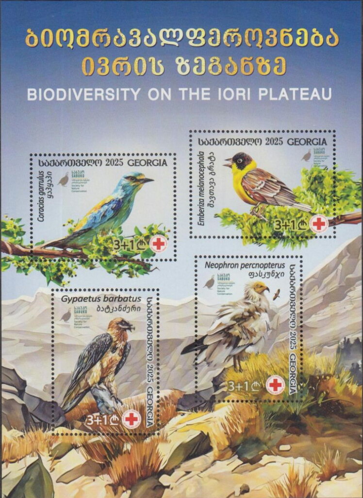 Biodiversity of the Iori Plateau