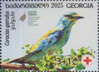 European Roller (Coracias garrulus)
