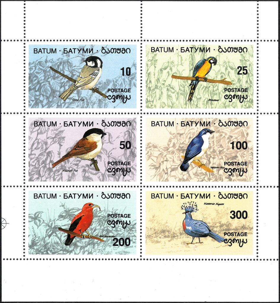 Birds