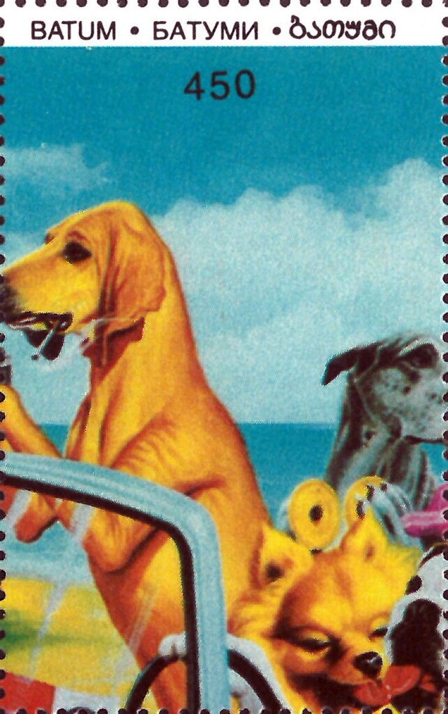 Dogs in car by an unknown artist