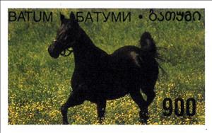 Stamp, Horse, Georgia, Batumi,  , Animals (Fauna), Horses, Mammals