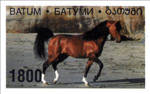 Stamp, Horse, Georgia, Batumi,  , Animals (Fauna), Horses, Mammals