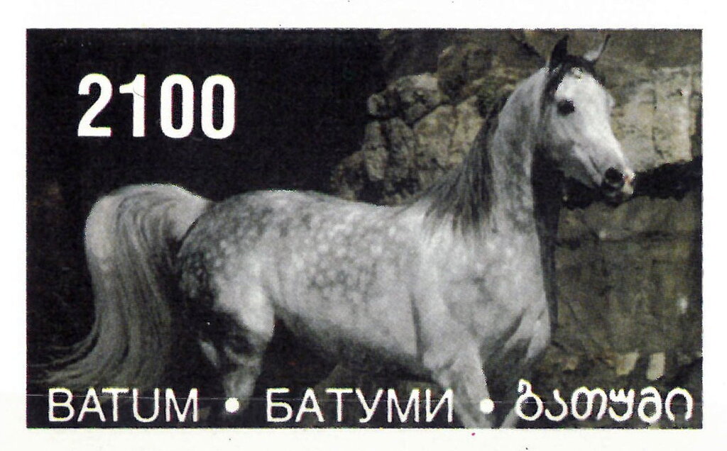 Horse