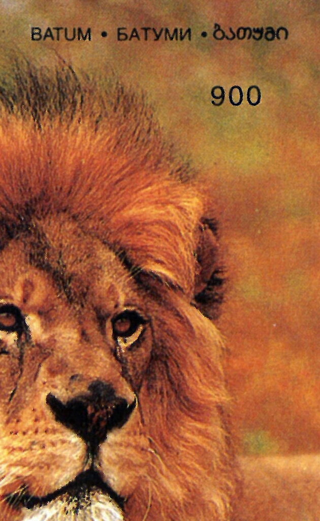 Lion
