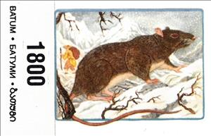 Stamp, Mice, Georgia, Batumi,  , Animals (Fauna), Mammals, Mice