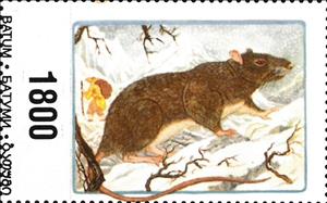 Stamp, Mice, Georgia, Batumi,  , Animals (Fauna), Mammals, Mice