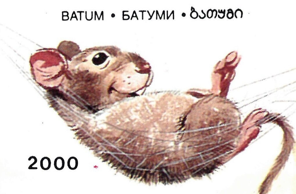 Mice
