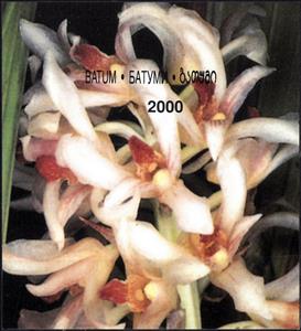 Souvenir Sheet, Orchid, Georgia, Batumi,  , Flowers, Orchids, Plants (Flora)