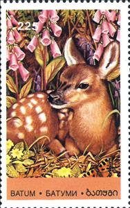 Stamp, Young Animals, Georgia, Batumi,  , Animals (Fauna)