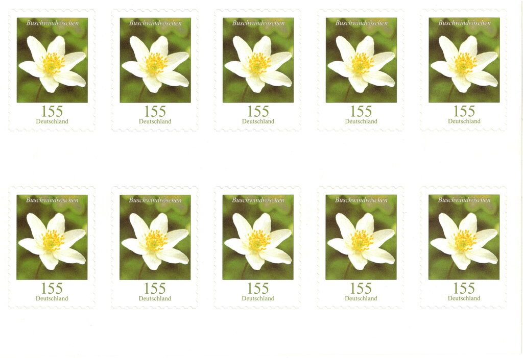 Foil Sheet-Wood Anemone (Anemone nemorosa)