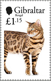 Bengal