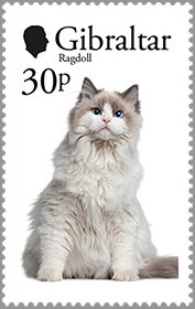 Stamp, Ragdoll, Gibraltar,  , Cats
